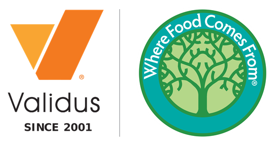 Validus Logo