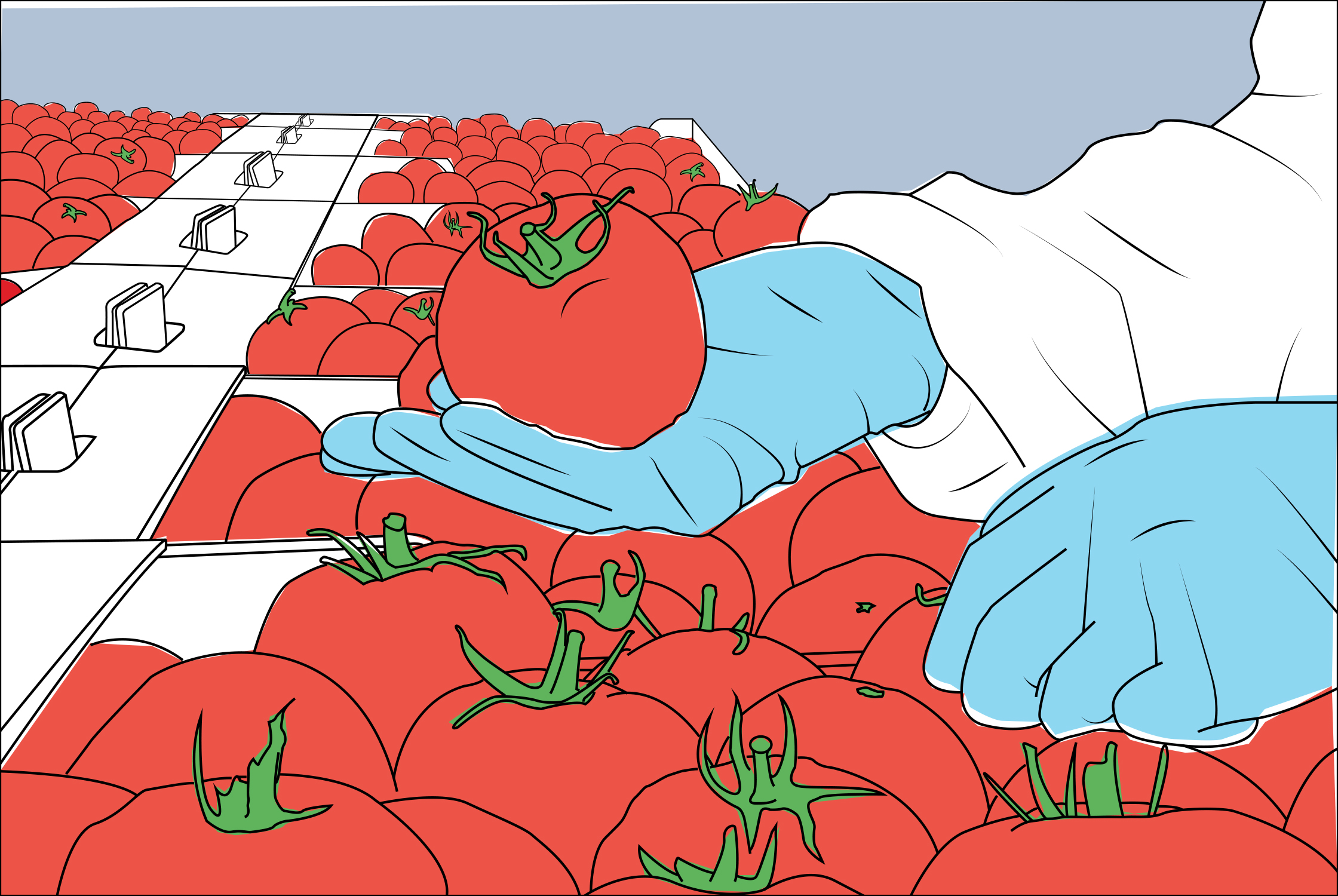 Pomodori 